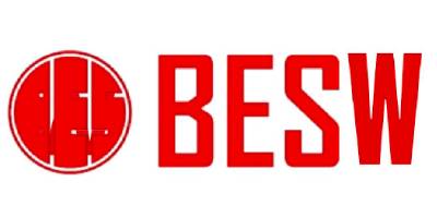 株式会社BESW